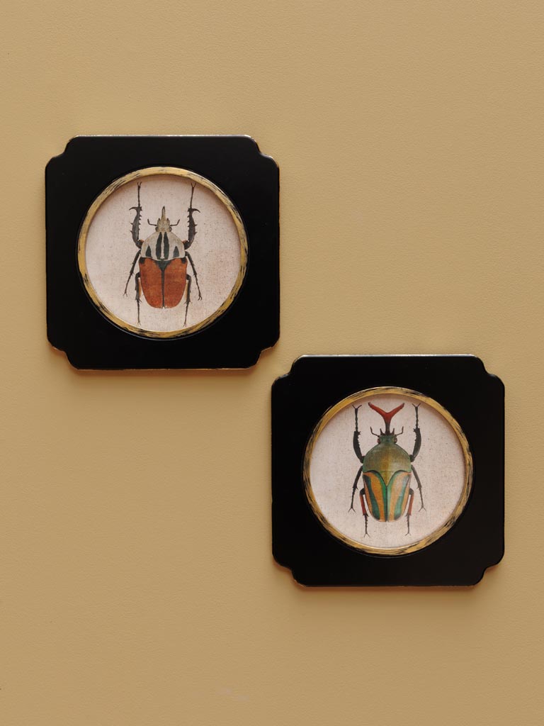 S/2 frames Beetles - 1