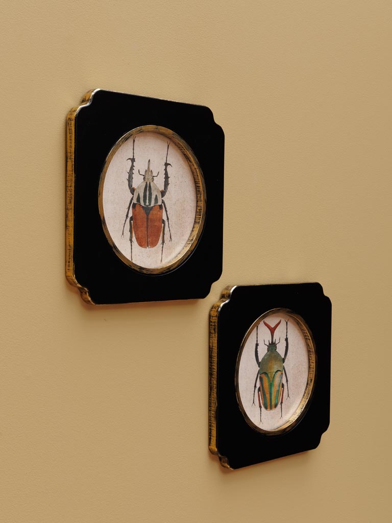 S/2 frames Beetles - 3