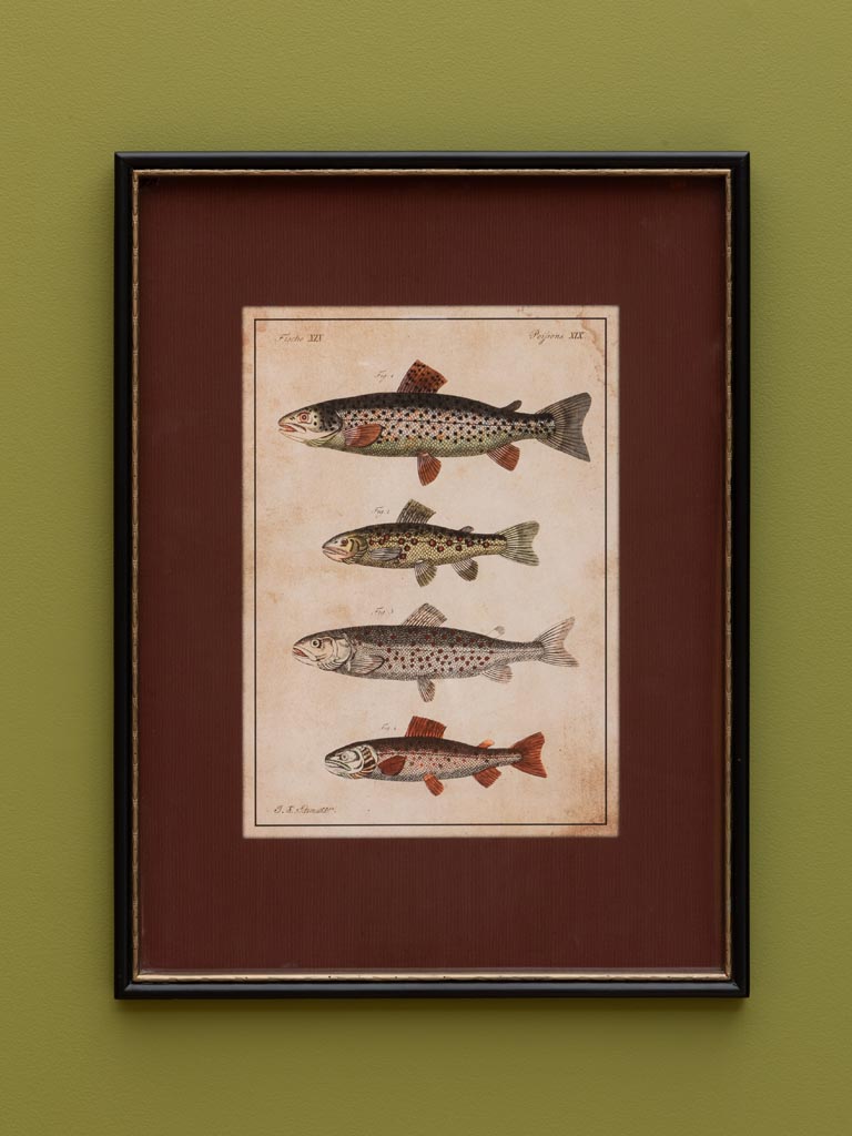 Cadre antique poissons - 1