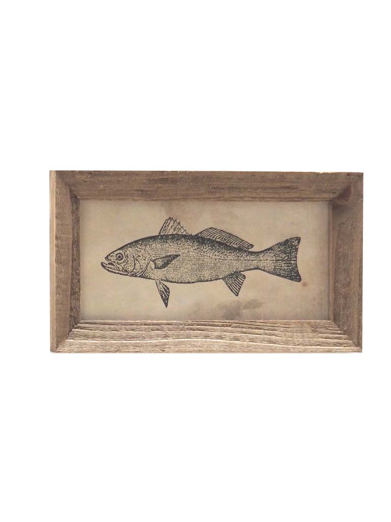 Frame with fish illustration - 2