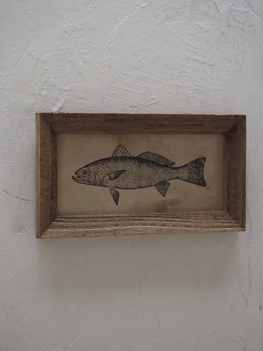 Frame with fish illustration