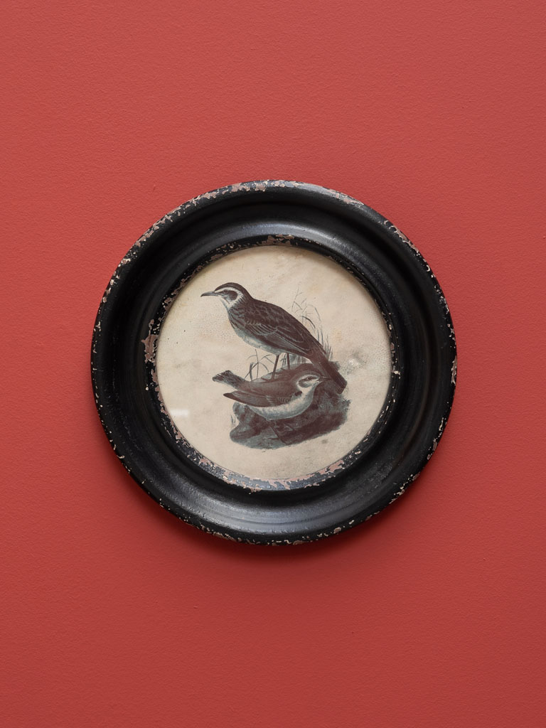 Round frame birds with long beak - 1