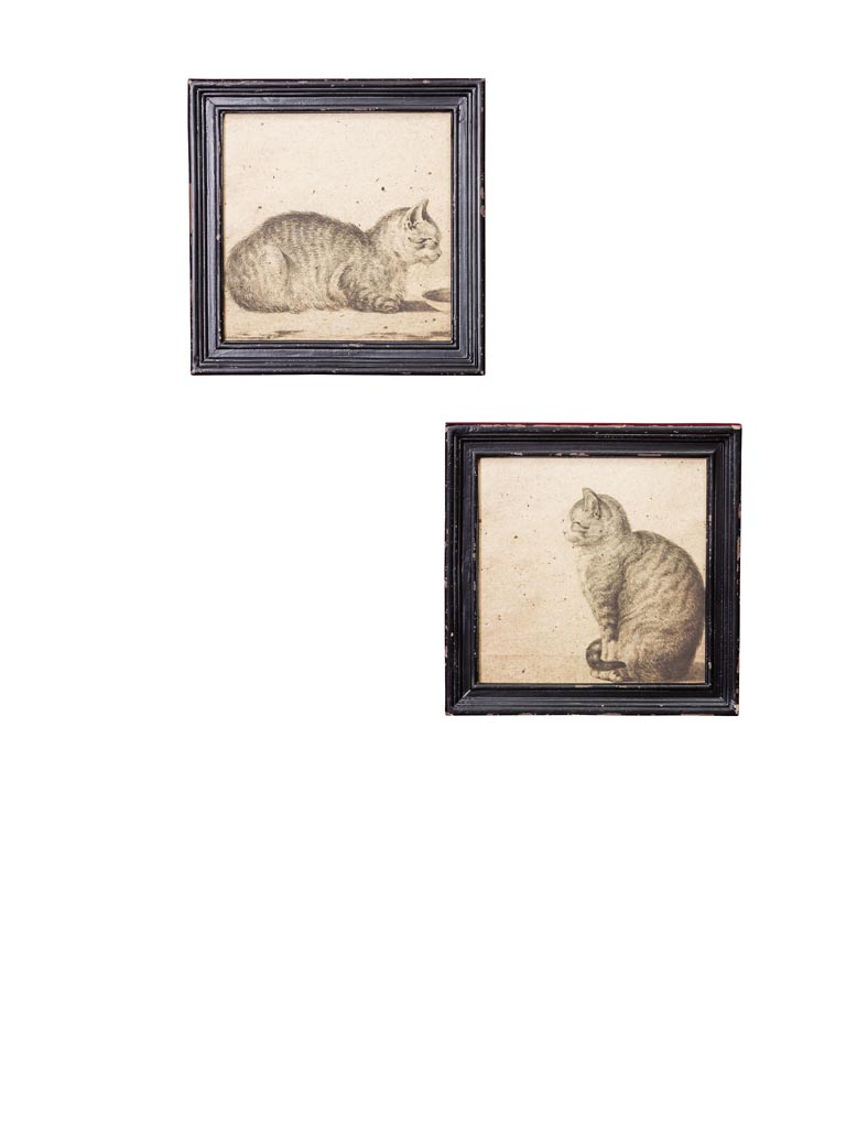 S/2 frames with cats (no glass) - 2