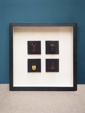 Wall art 