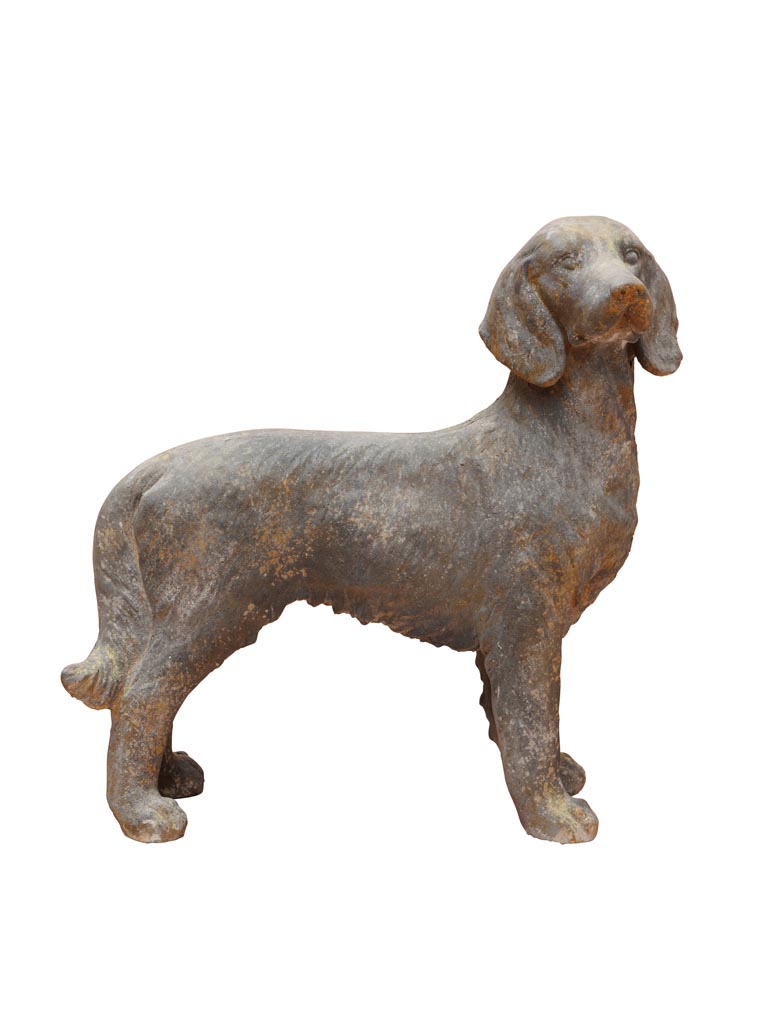 large outdoor dog - 2