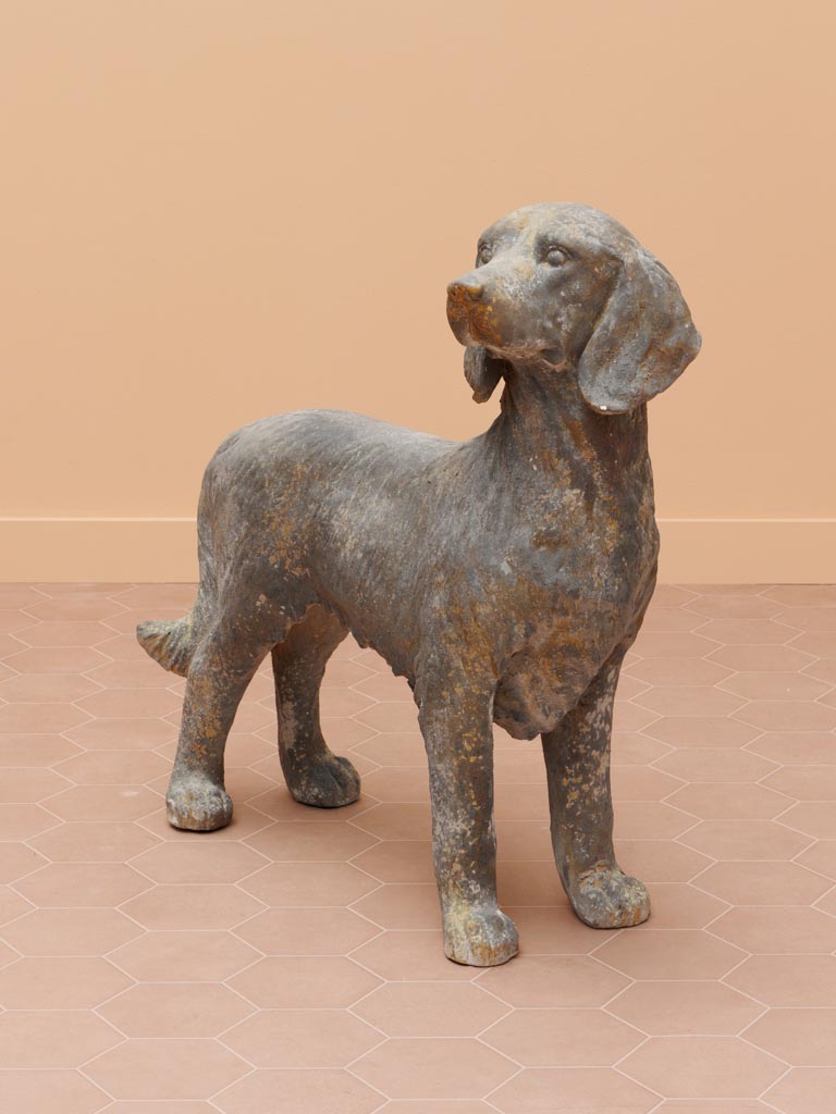 large outdoor dog - 3