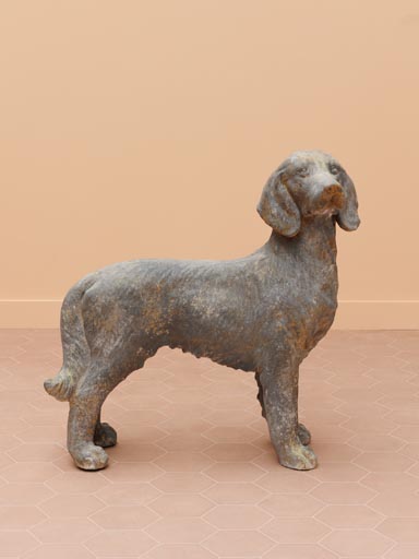 large outdoor dog