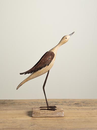 Bird looking up rusty wings