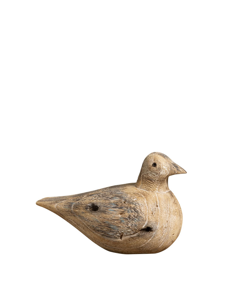 Seated seagull - 2