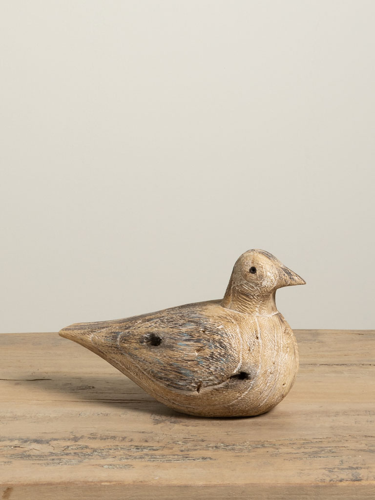 Seated seagull - 1