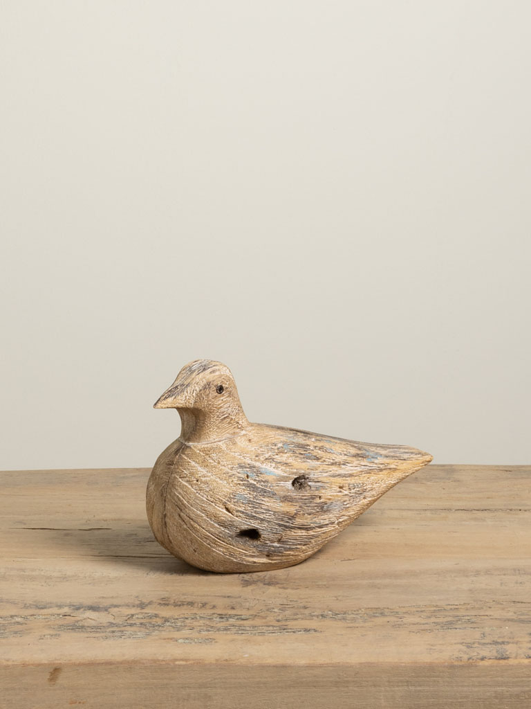 Seated seagull - 4