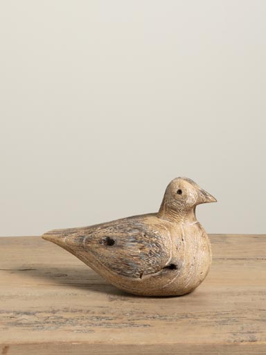 Seated seagull