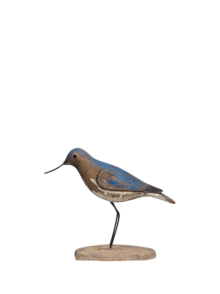 Petit oiseau bleu long bec - 2