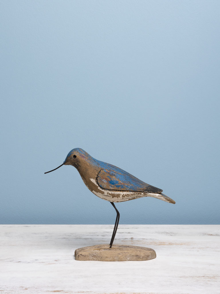 Petit oiseau bleu long bec - 1