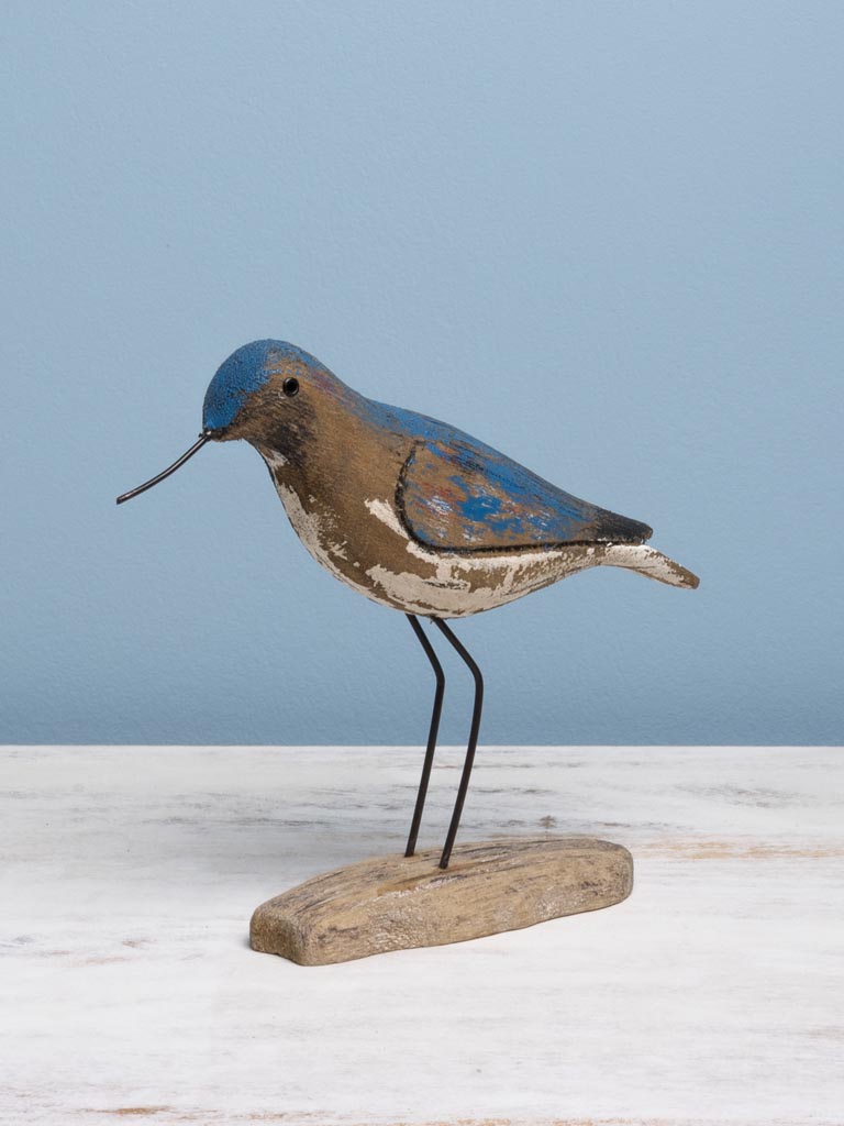 Small blue bird with long beak - 3