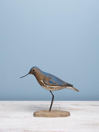 Small blue bird with long beak