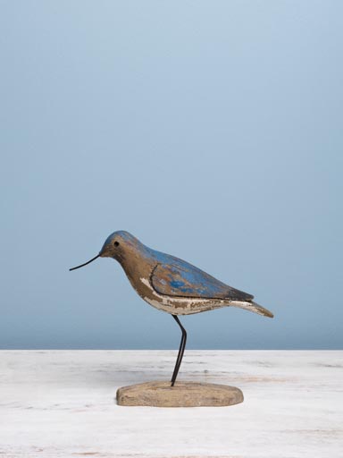 Petit oiseau bleu long bec