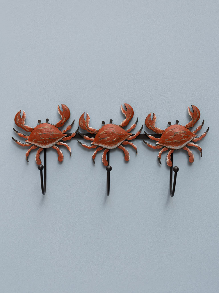 Small coat holder crabs - 1