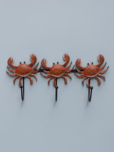 Small coat holder crabs