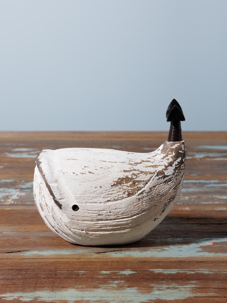 Small white whale - 3