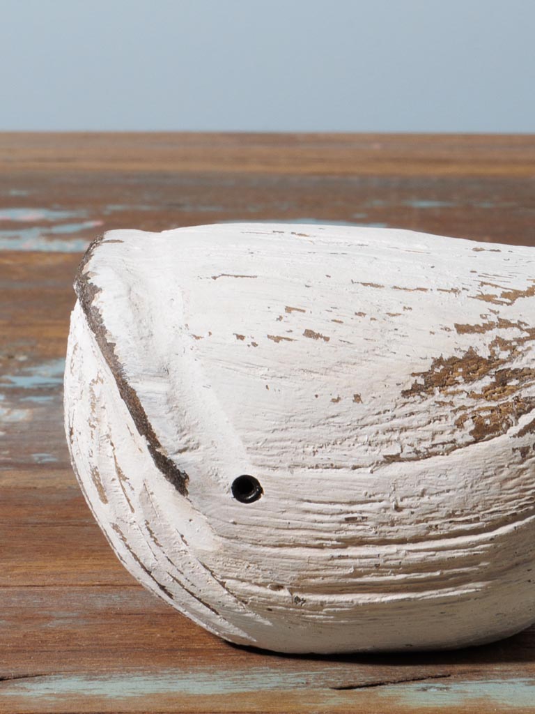 Small white whale - 4
