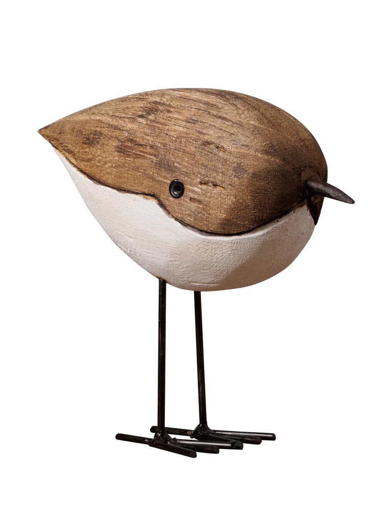 Small round bird leaning - 2