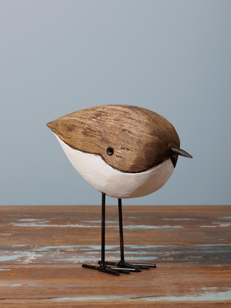 Small round bird leaning - 1