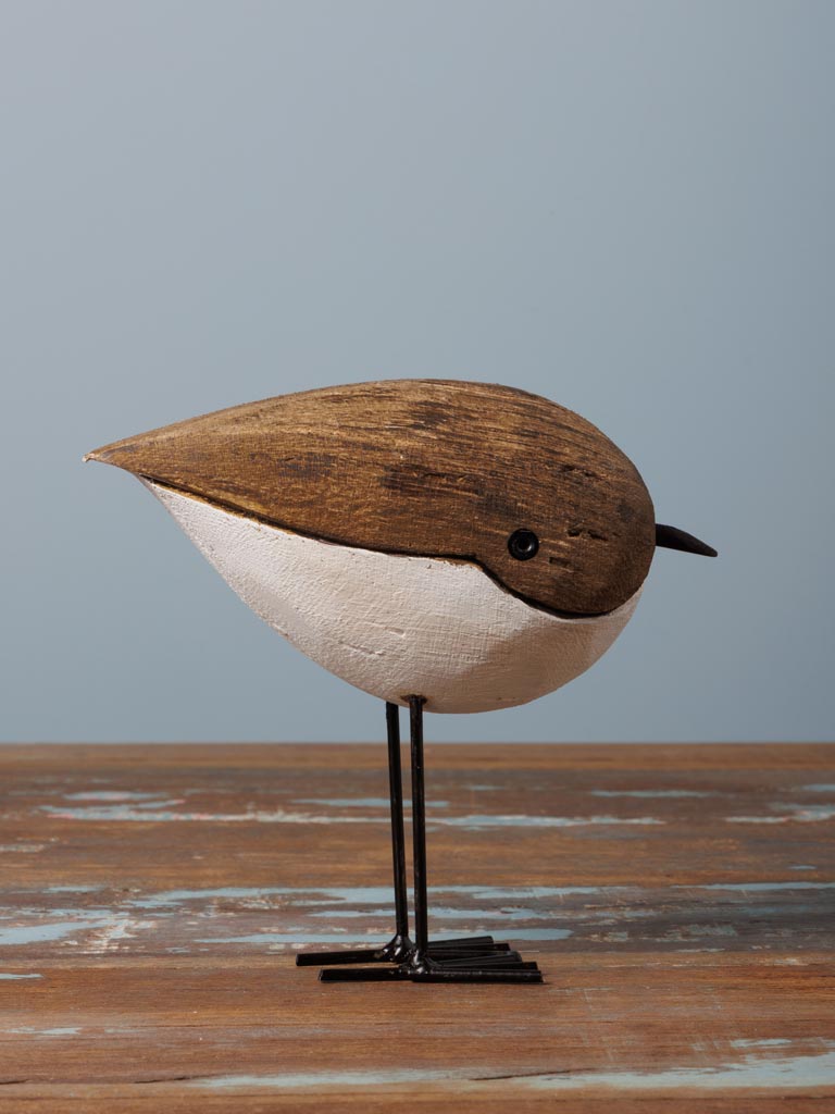 Small round bird leaning - 3