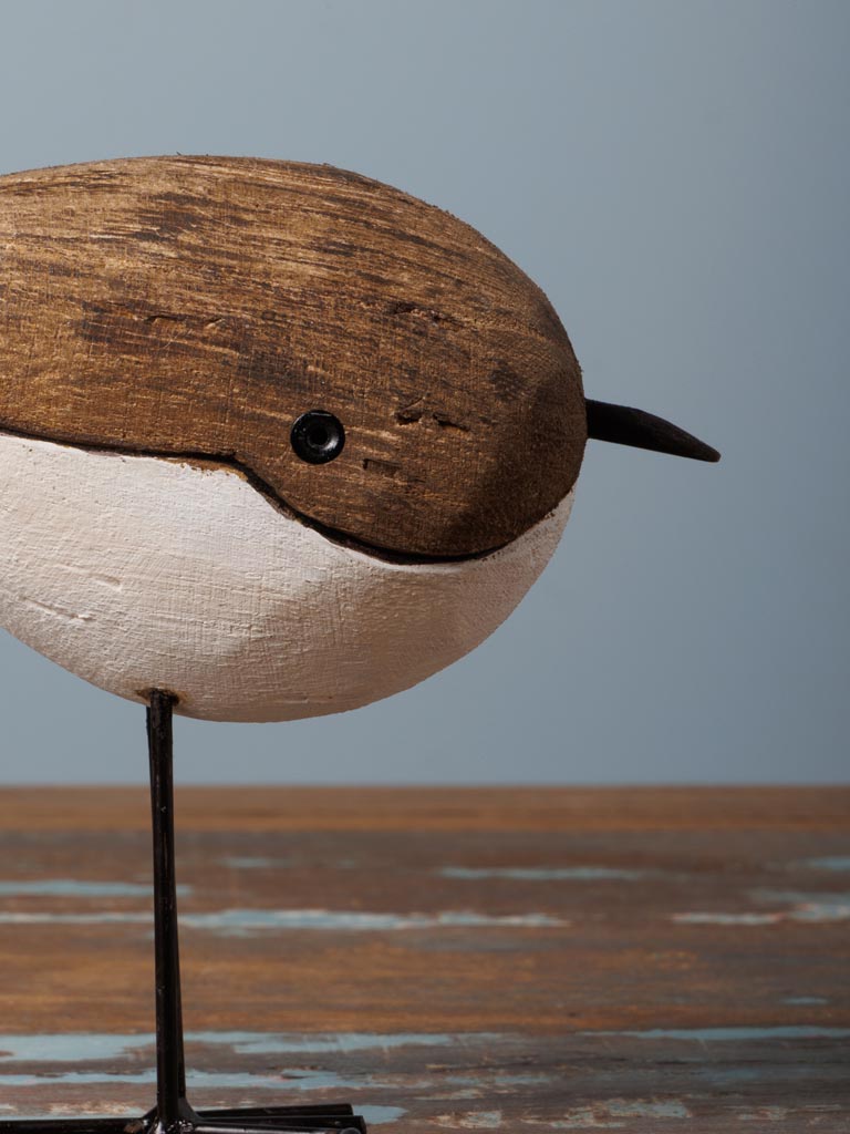 Small round bird leaning - 4