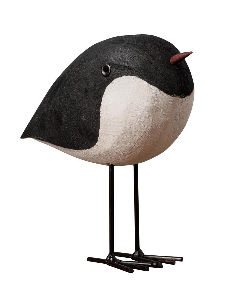 Small round bird - 2