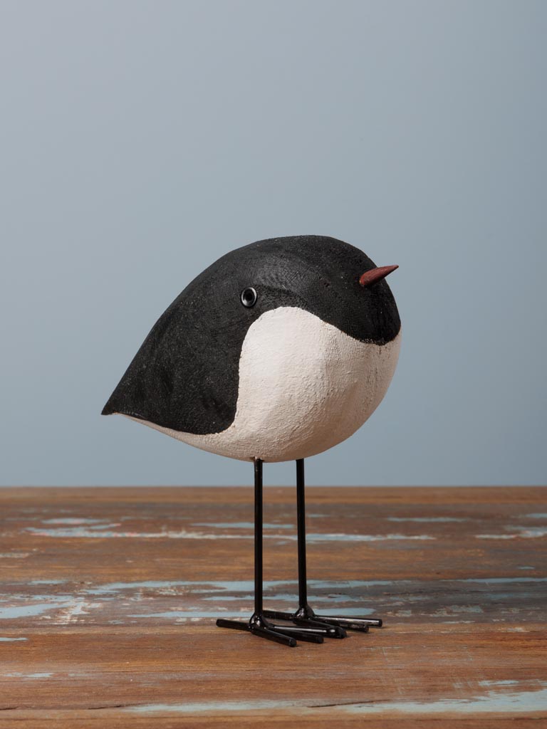 Small round bird - 1