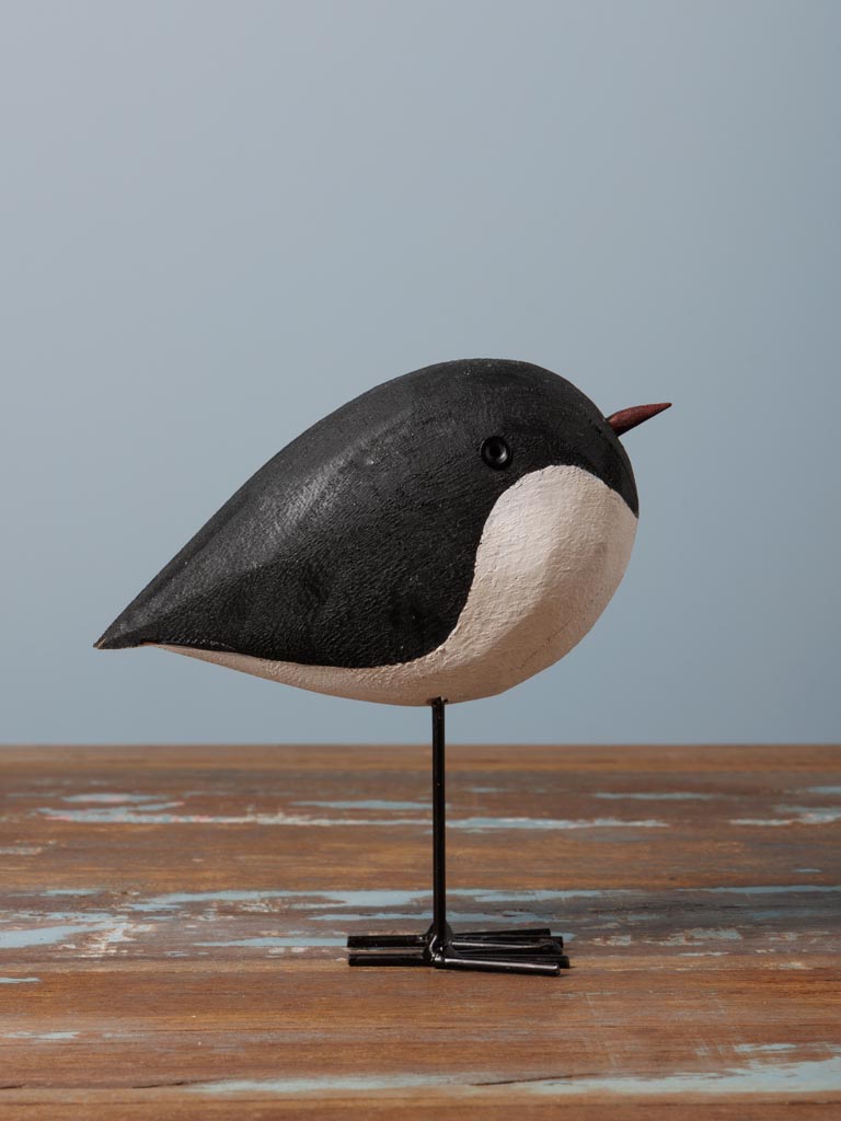 Small round bird - 3
