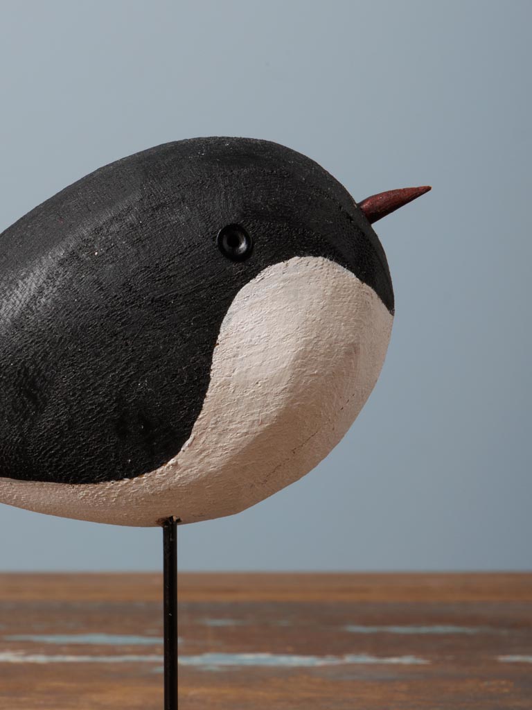Small round bird - 4