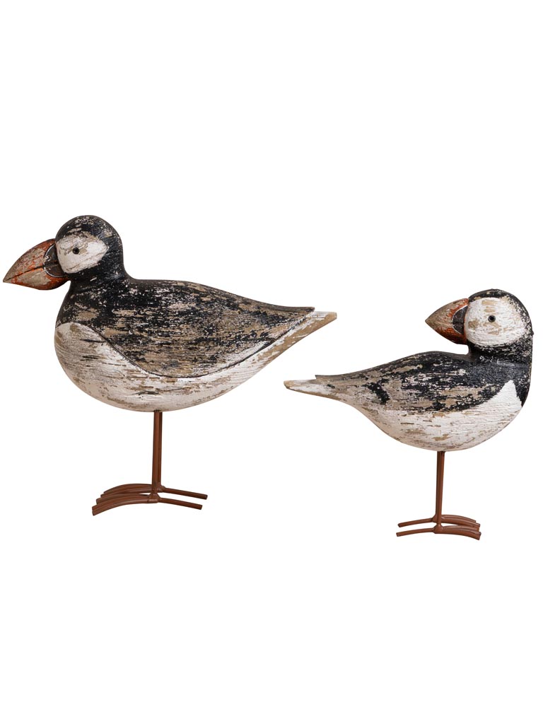 S/2 coastal birds - 2