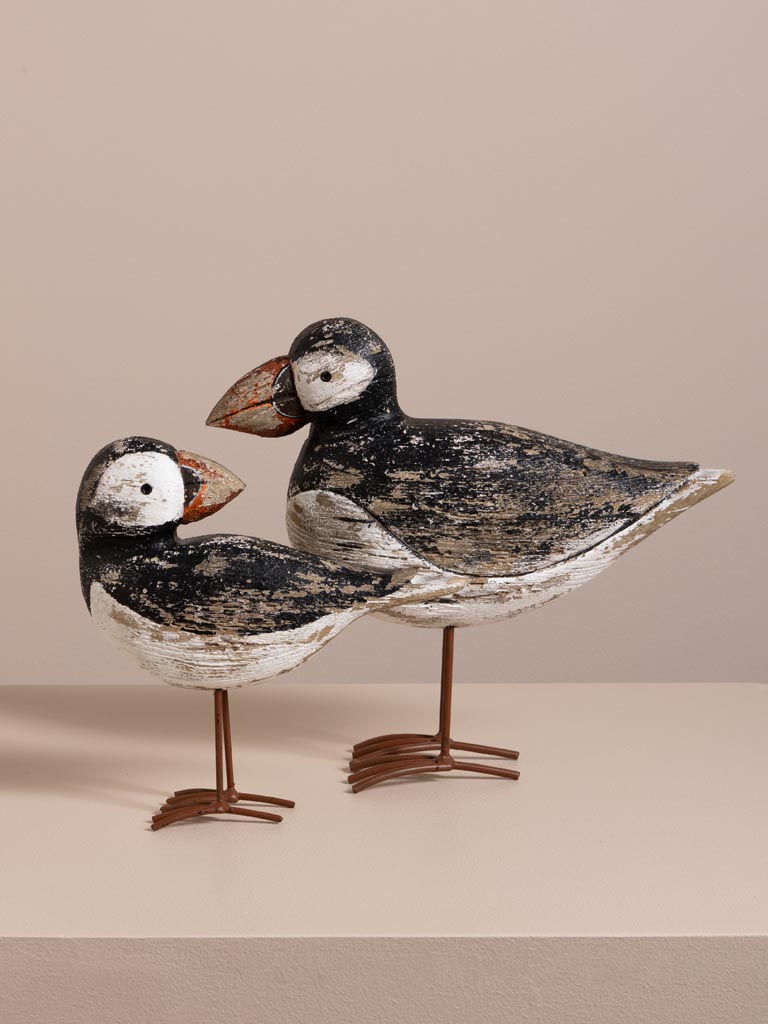S/2 coastal birds - 1