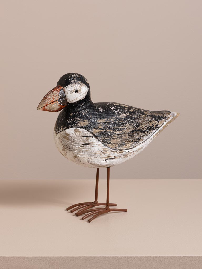 S/2 coastal birds - 3
