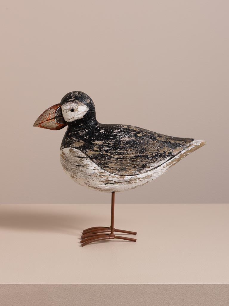 S/2 coastal birds - 5