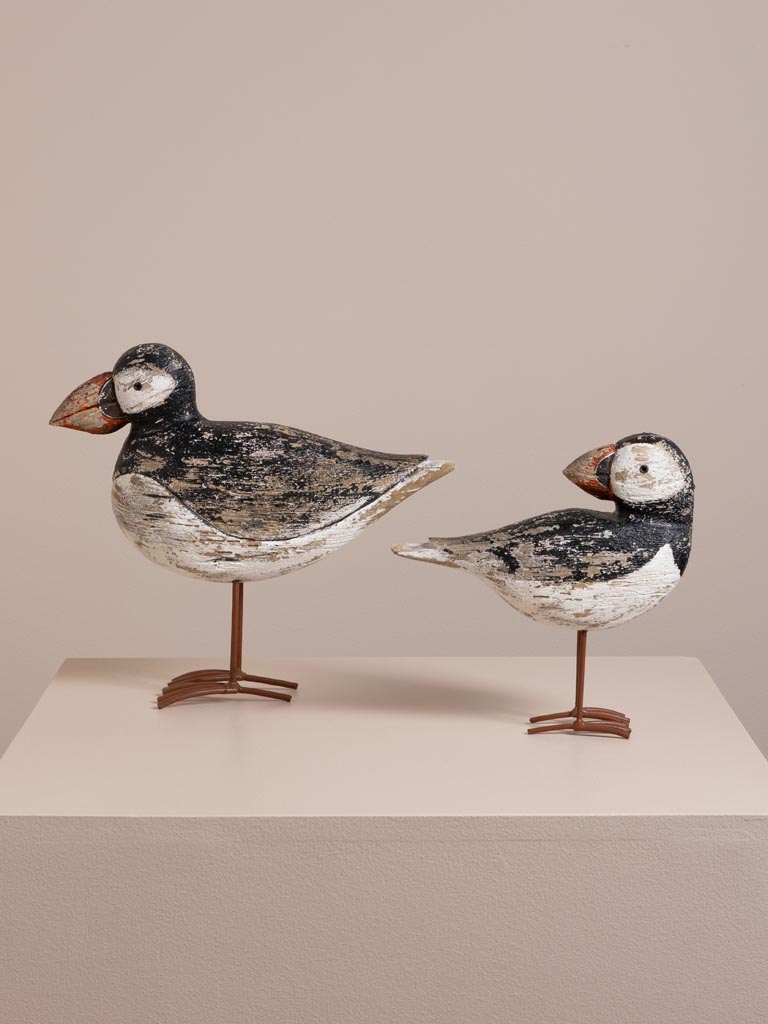 S/2 coastal birds - 4