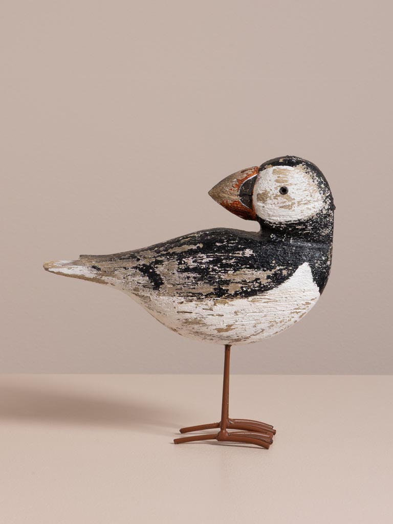 S/2 coastal birds - 6
