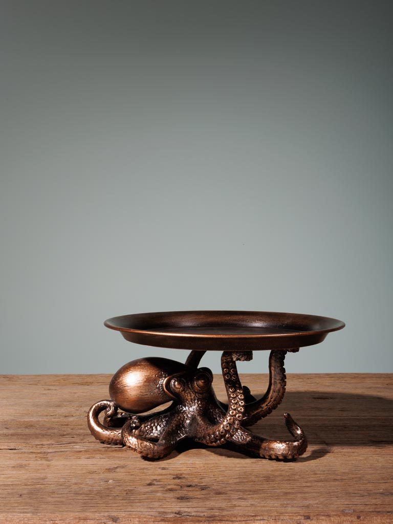 Octopus tray on base - 5