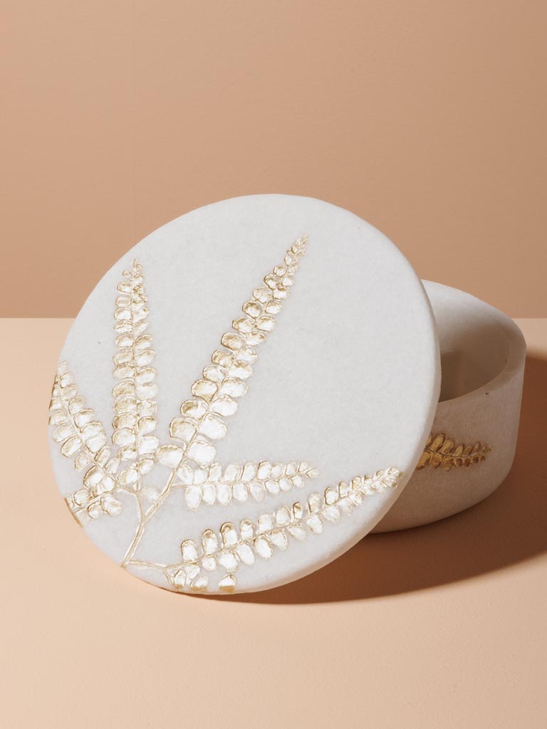 Box golden ferns with mirror - 5