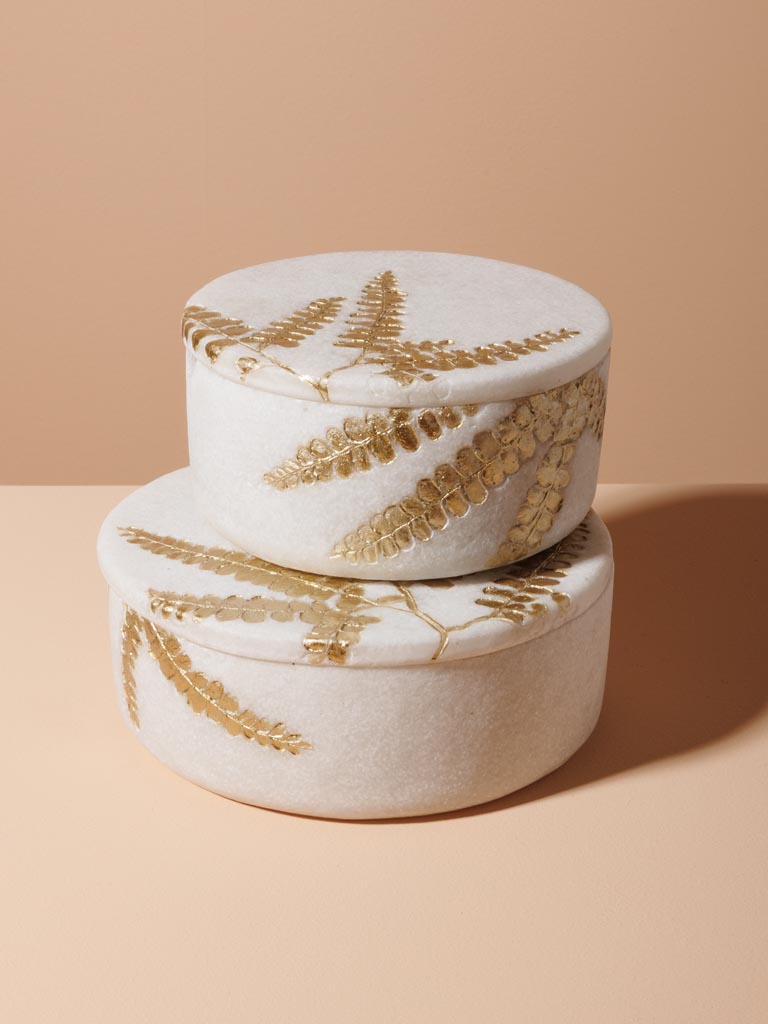 Box golden ferns with mirror - 6