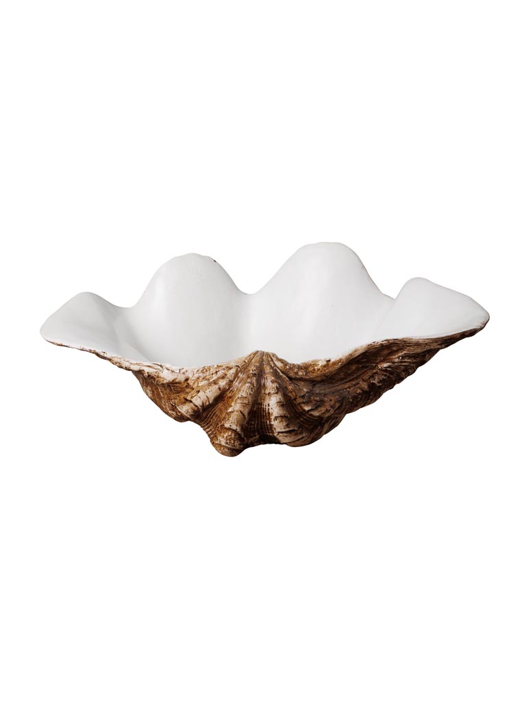 Large trinket bowl shell - 2