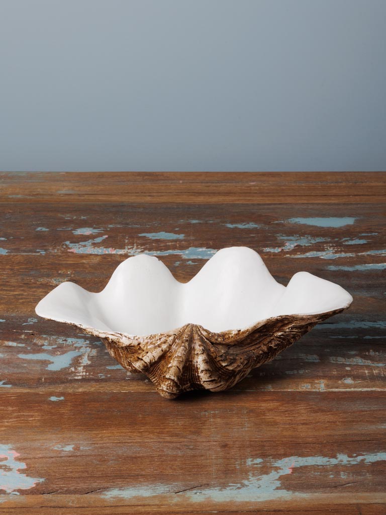 Large trinket bowl shell - 1