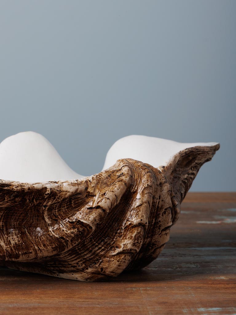 Large trinket bowl shell - 3