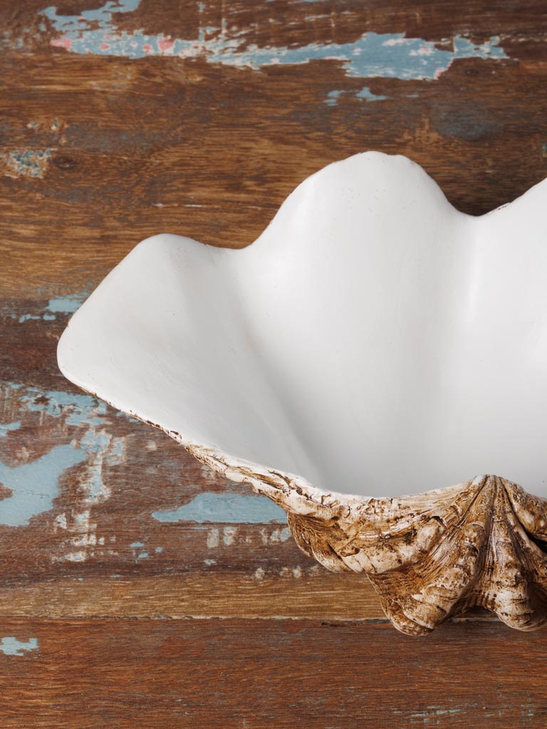 Large trinket bowl shell - 4