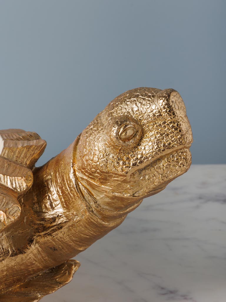 Large golden turtle with creamy bowl - 4