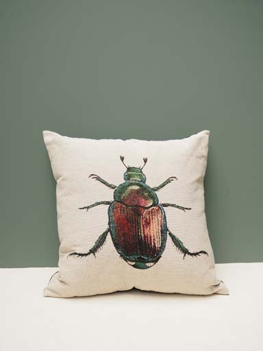 Cushion beetle 45x45