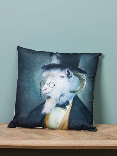 Cushion aristocrat ram