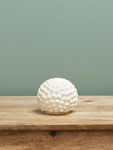 Ocean floor flower ball lamp on battery